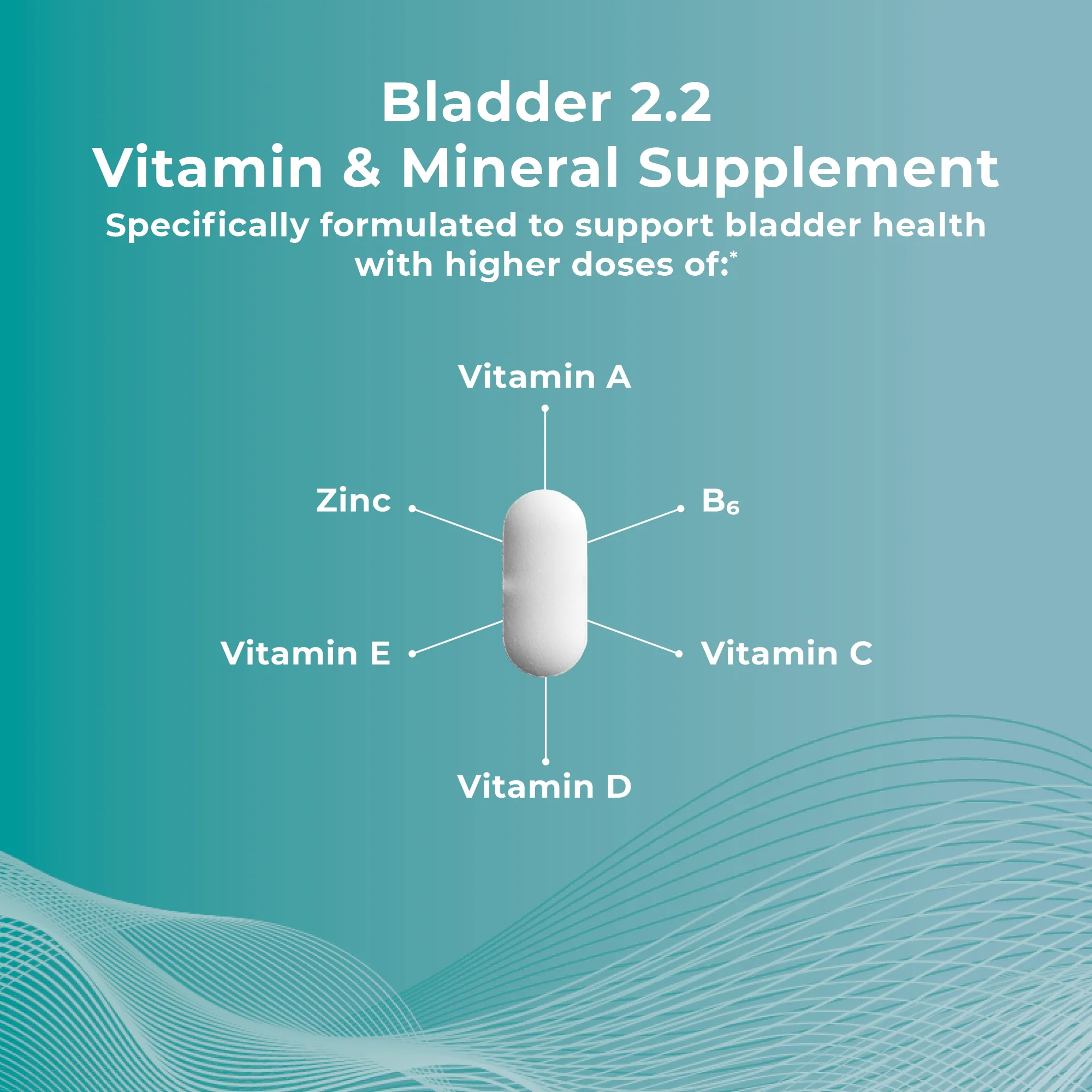 Bladder 2.2 Nutritional Supplement - Image 4