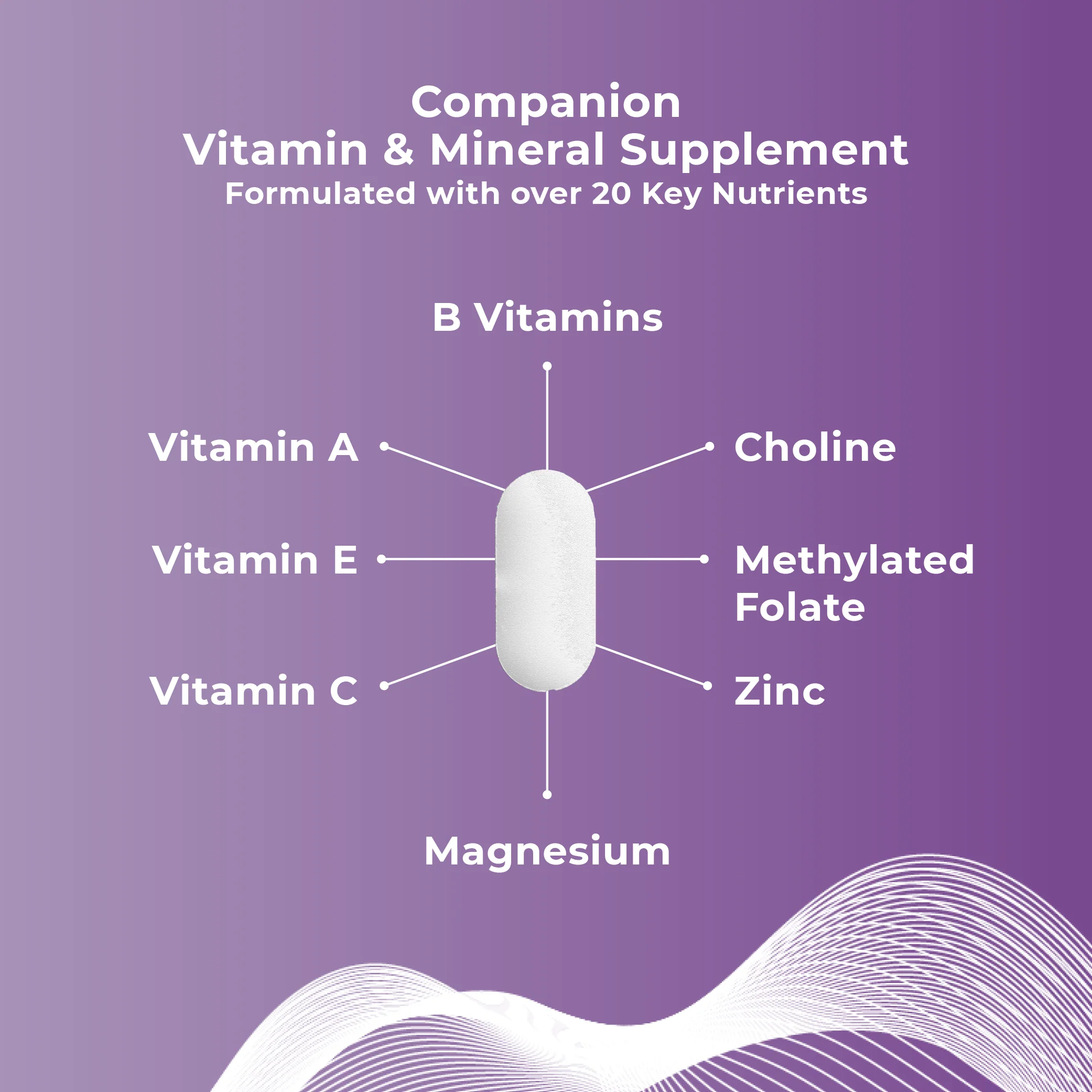 Companion Multivitamin Supplement - Image 5