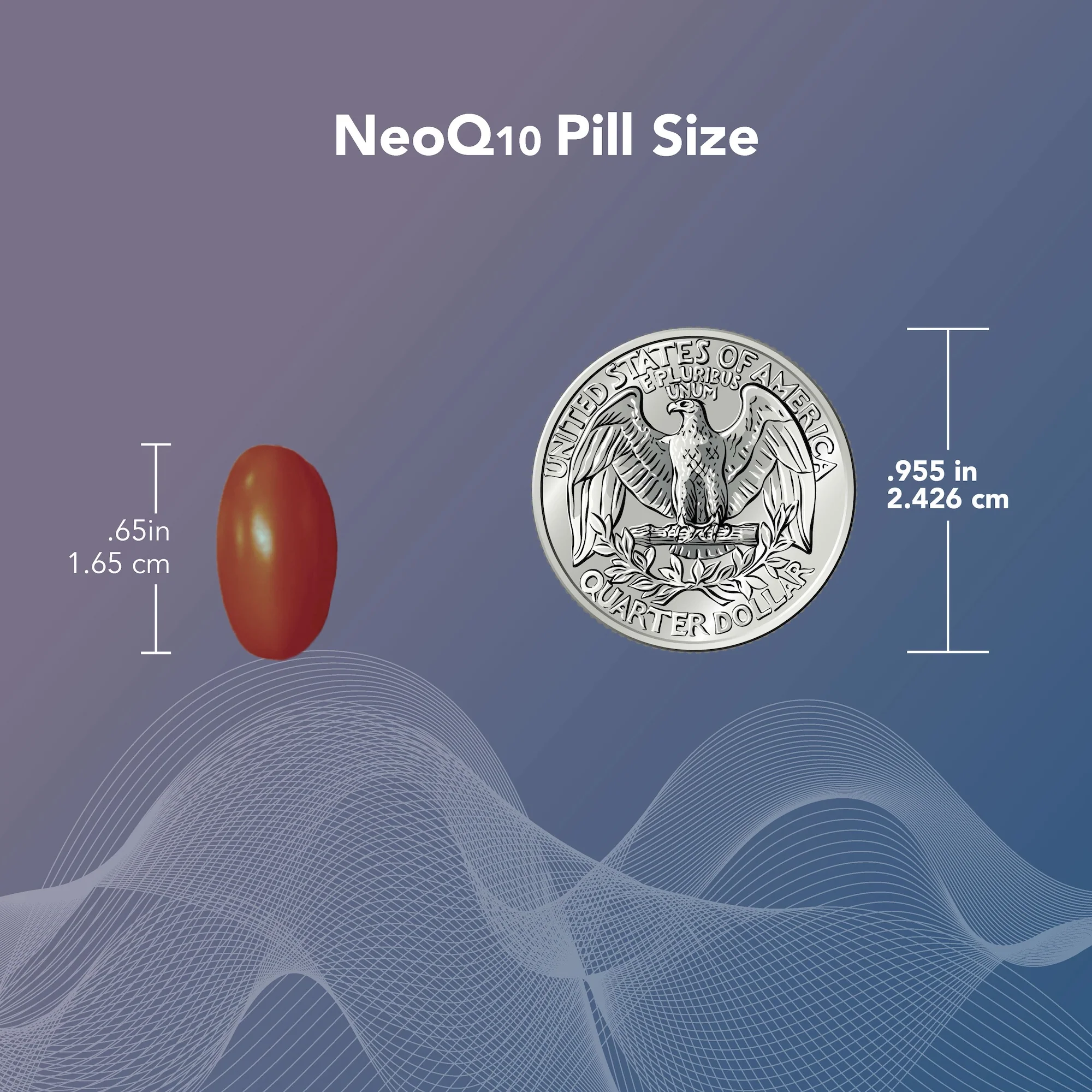 ConceptionXR® Motility Support + NeoQ10® Bundle - Image 8