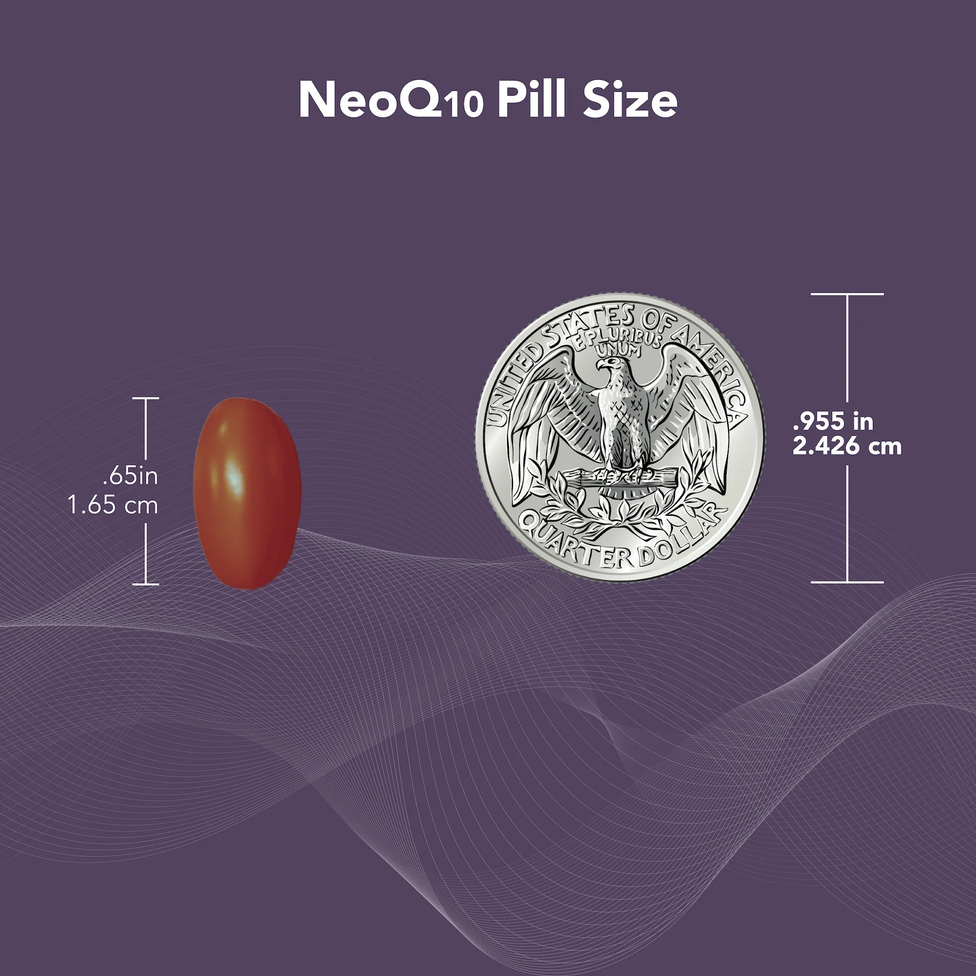ConceptionXR® Reproductive Health + NeoQ10® Bundle - Image 7