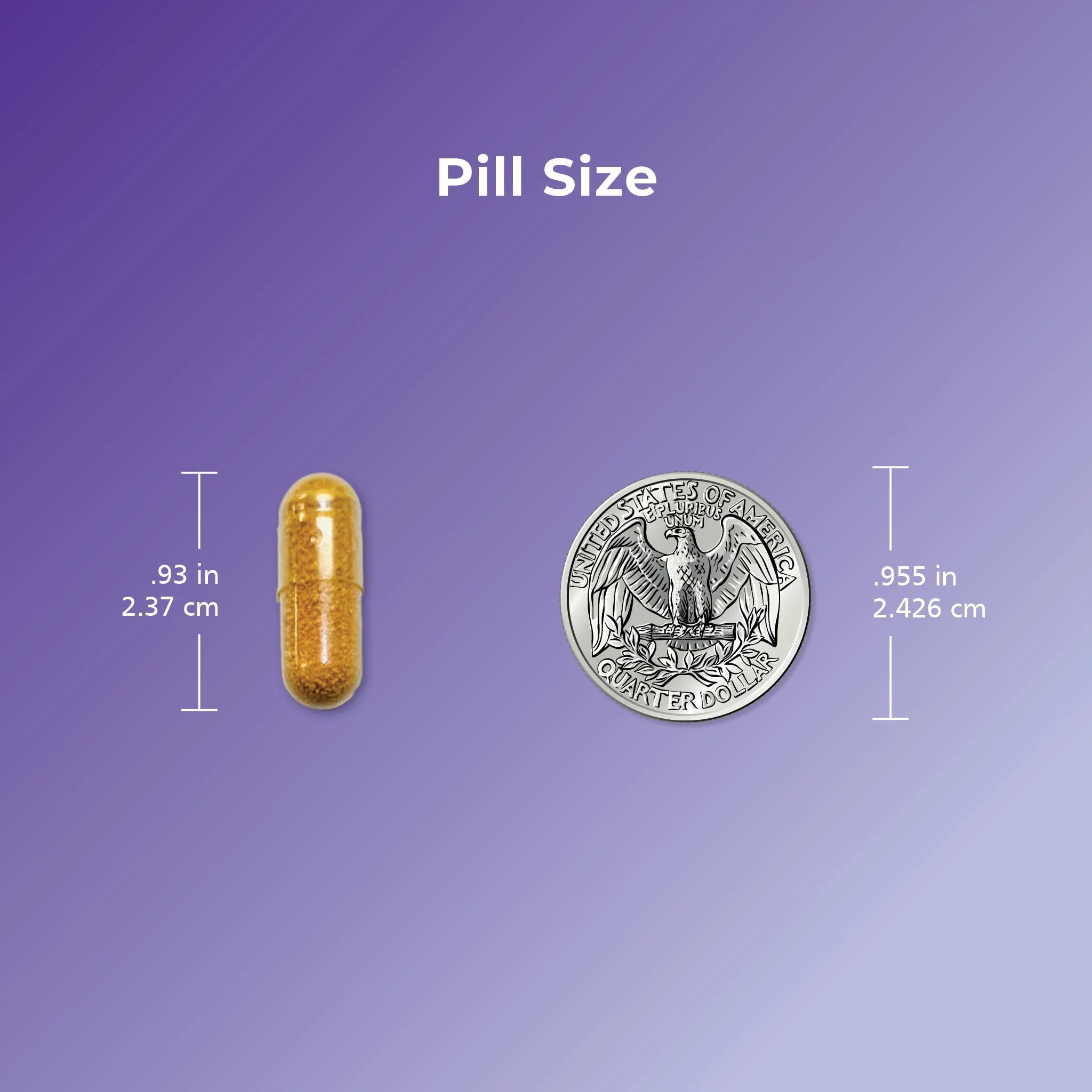 CurcuSorb® Turmeric Curcumin Supplement - Image 6