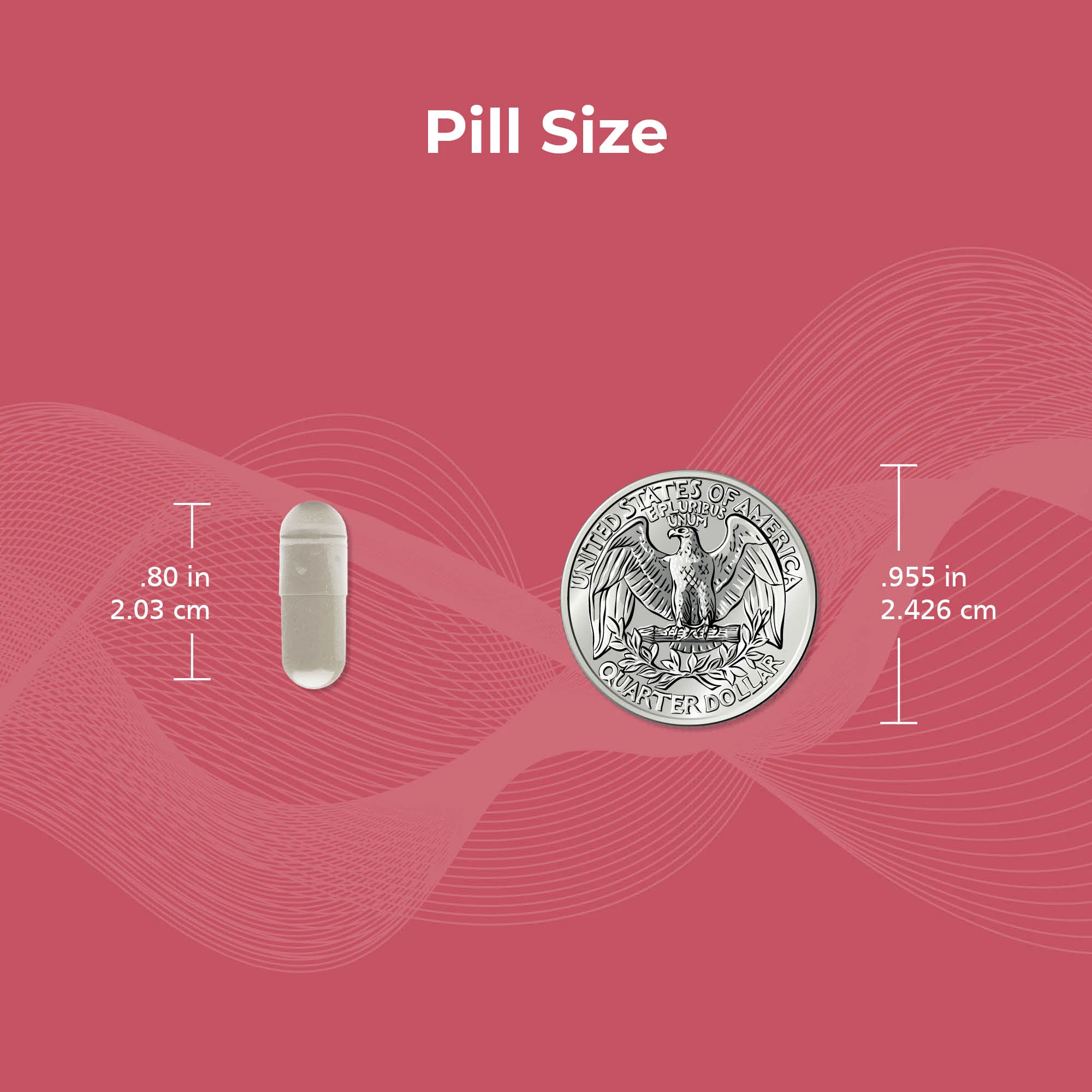 DHEA 25 Nutritional Supplement - Image 4