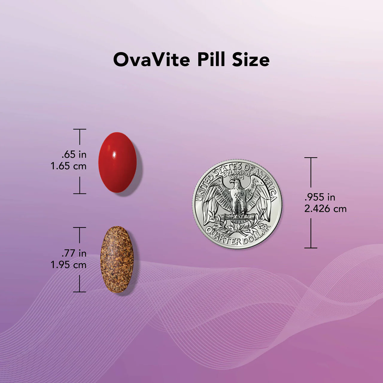 Egg Freezing Bundle - Image 8