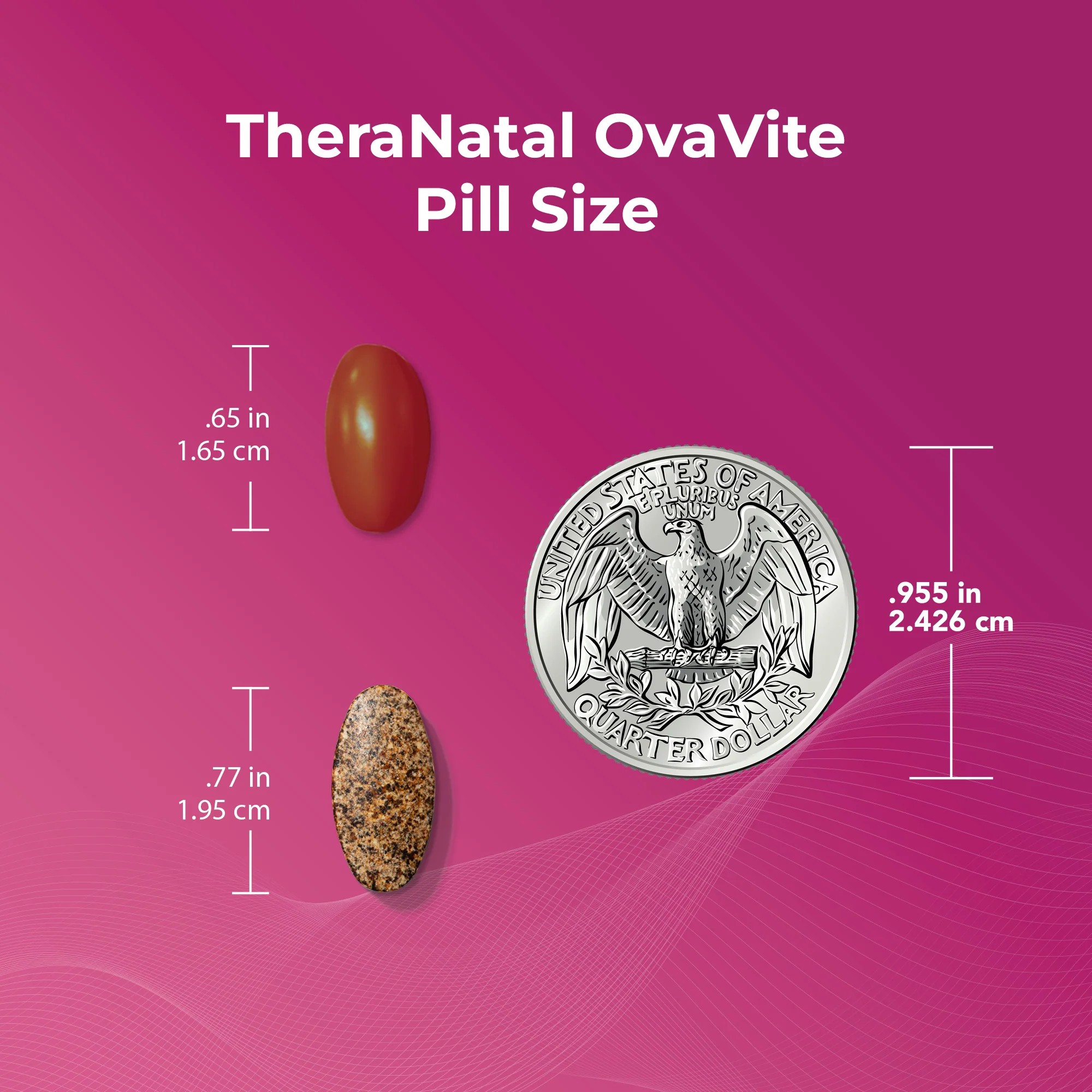 Egg Quality Bundle - Image 7