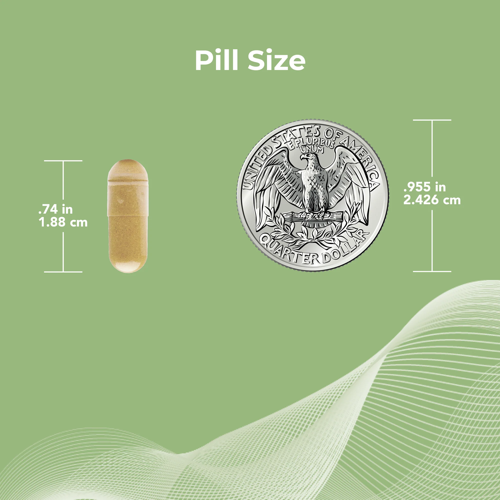 IsoRel Whole Soybean Extract Supplement - Image 6