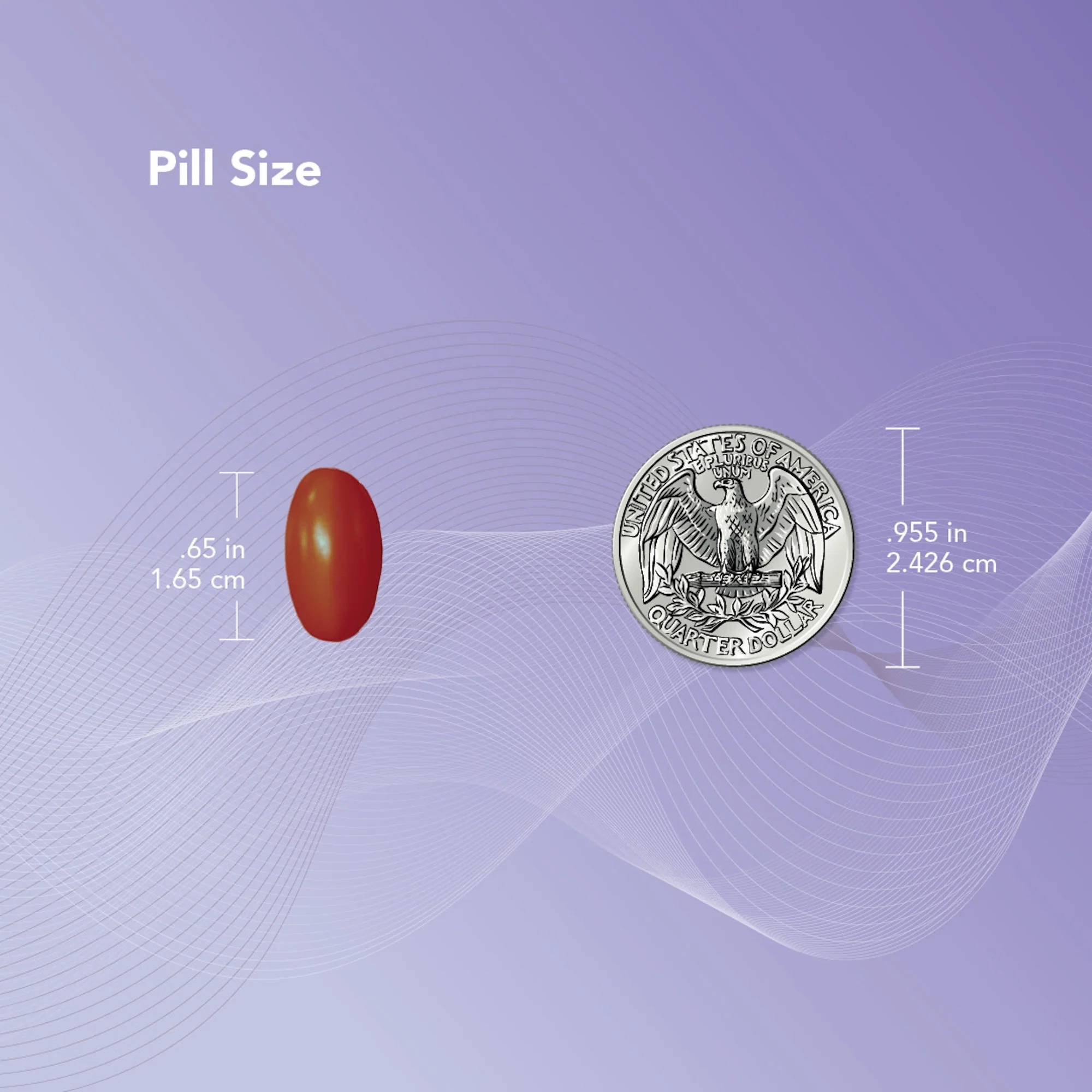 NeoQ10® Coenzyme Q₁₀ (CoQ10) Supplement - Image 7