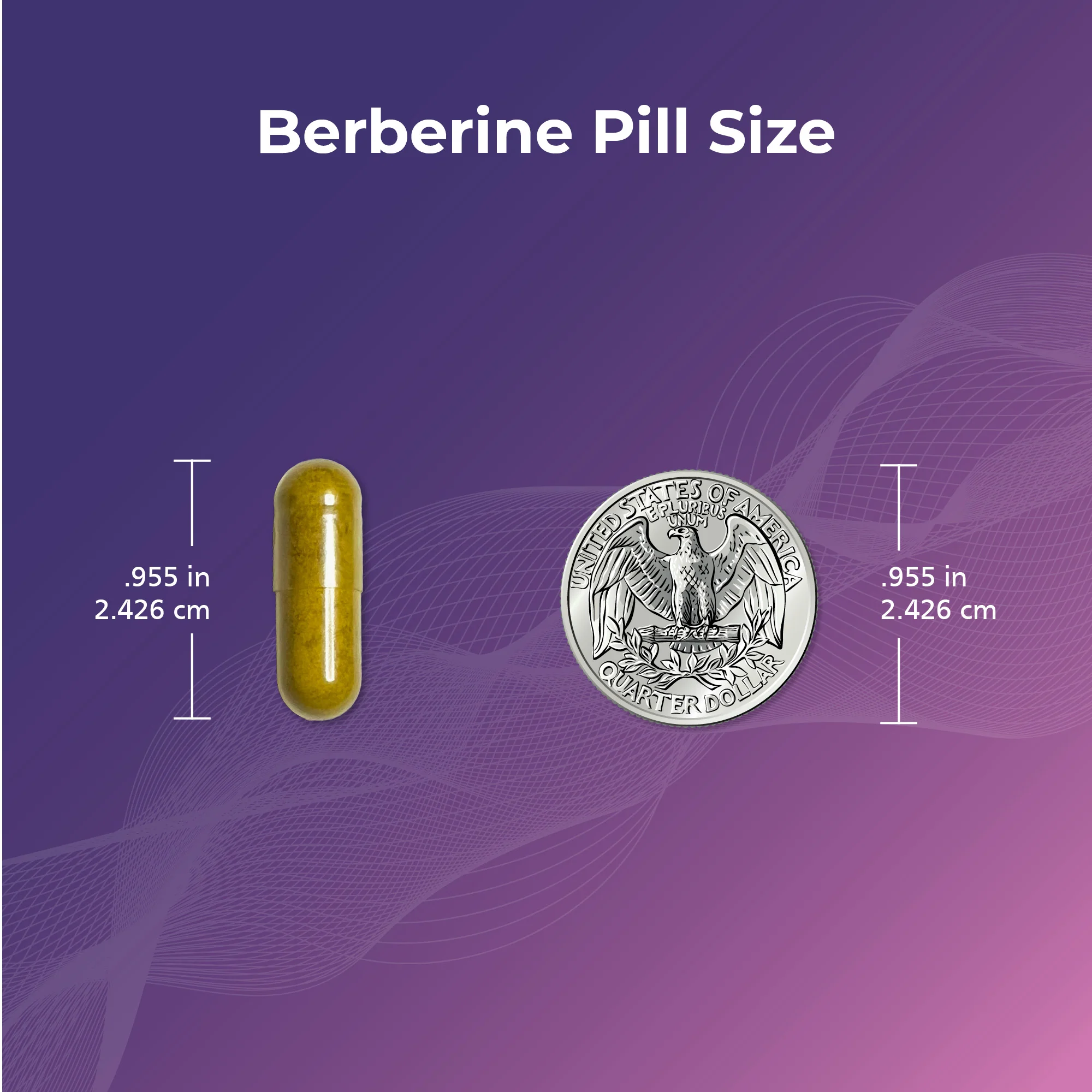 Ovasitol® + Berberine Bundle - Image 11