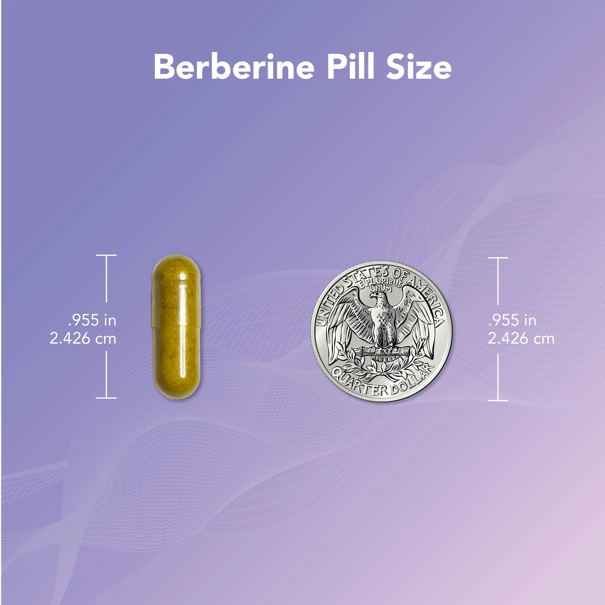 Ovasitol® Plus + Berberine Bundle - Image 11