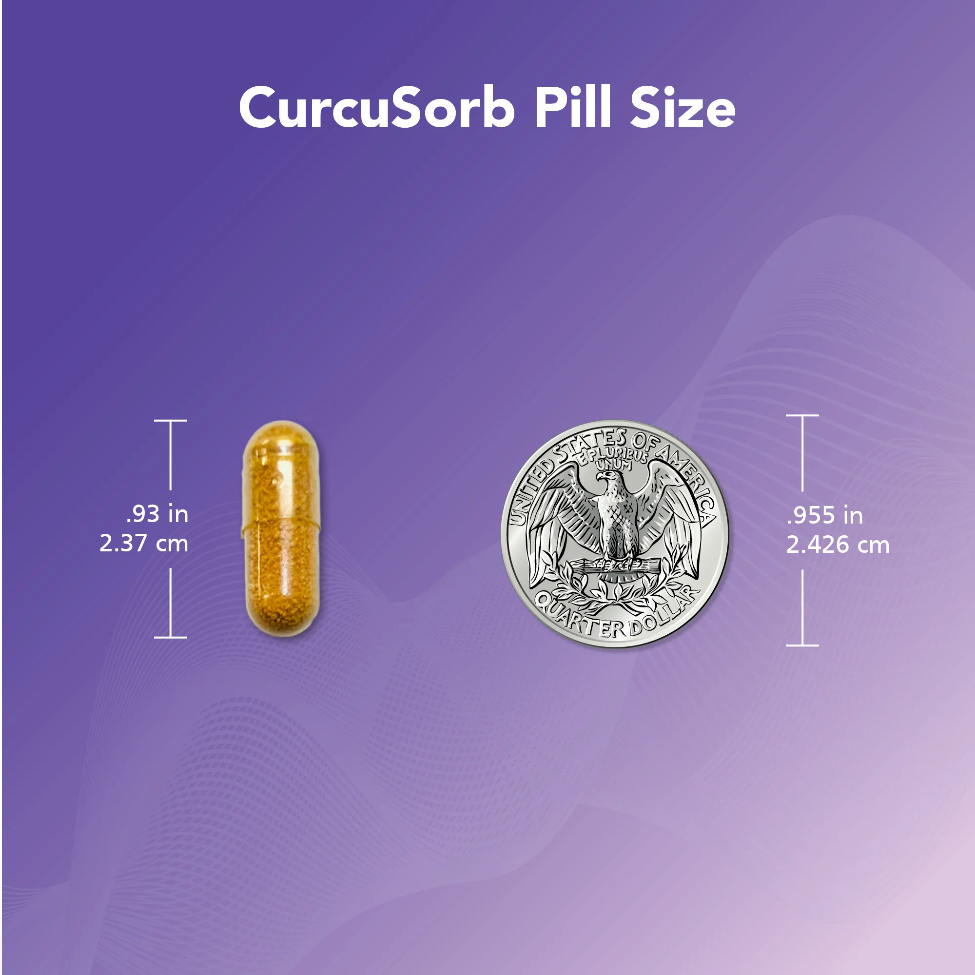 Ovasitol® Plus + CurcuSorb® Bundle - Image 10
